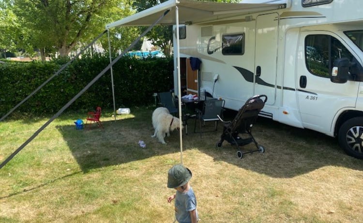 6p Fiat alkoof familie camper 