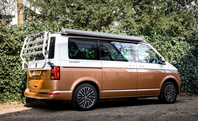 Dutch Nomad Van  – NOUVEAU! VW California Ocean 6.1 complet et luxueusement équipé.