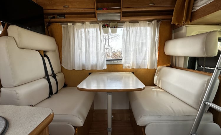 Familiencamper Alcove für 6 Personen - Rimor