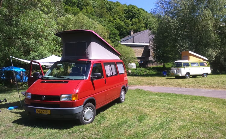 Klassieke T4 Westfalia voor Nederland