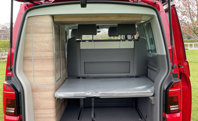 Liberty – 2022 VW T6.1 CALIFORNIA Wohnmobil 4 Schlafplätze - Automatik