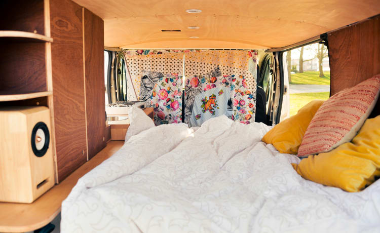 Camper Renault Trafic