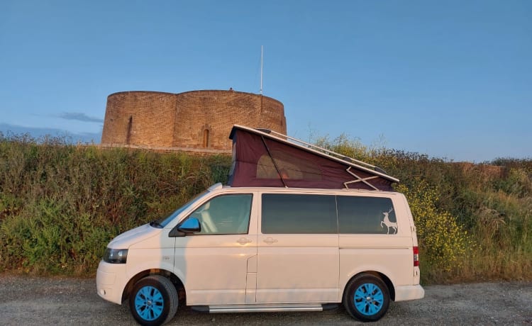 Dora – 4-persoons Volkswagenbus uit 2014