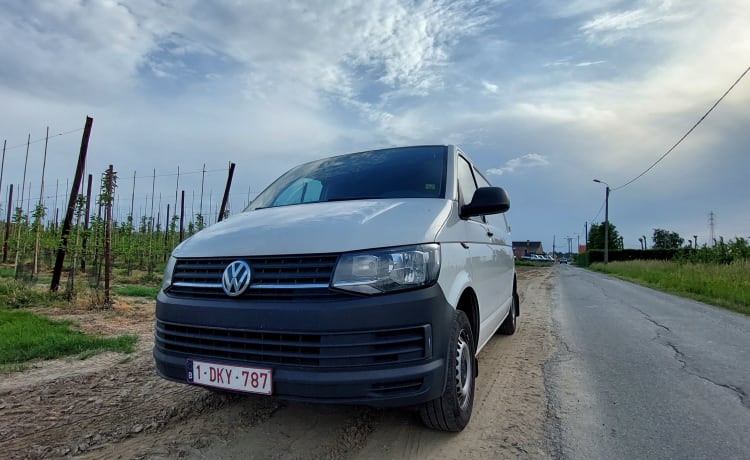 THE VAN – Gezellige zelfbouw VW-camper uit 2019