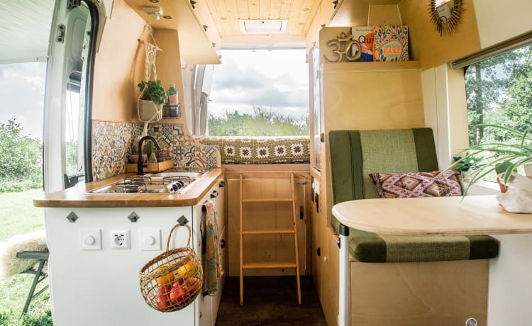 Beautiful unique Bus camper