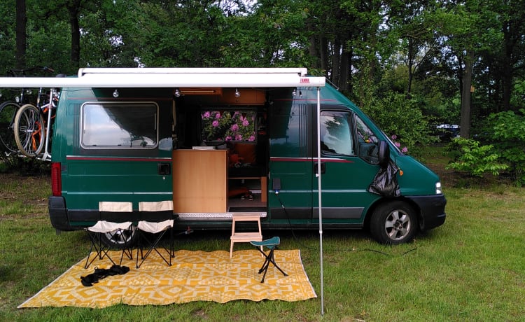 Bassie – Compact & charming 4 berth motorhome for family adventures