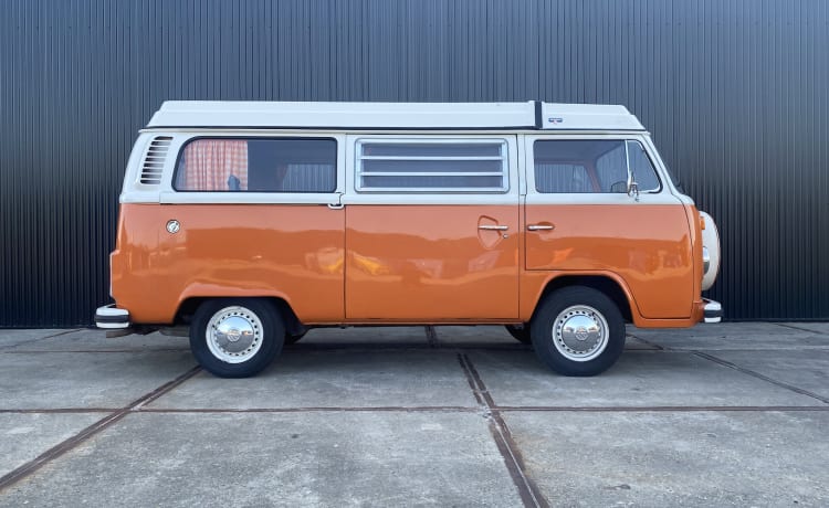 Bus Texas – Volkswagen T2b, 1974