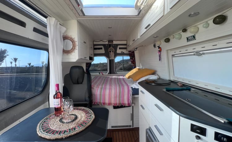 Dora – Campervan Valencia NL