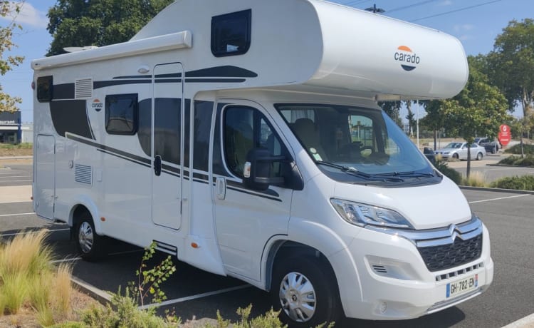 A361 – Noleggio camper mansardato corado