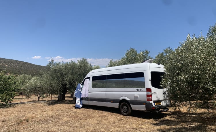 Binky – Camper Mercedes-Benz 2p del 2008