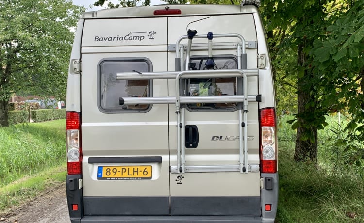 Perfecte Fiat Bavaria Camp kampeerbus te huur -automaat