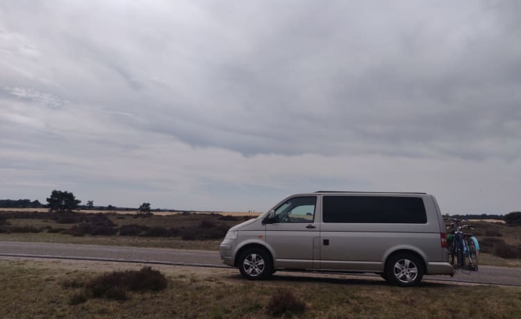 Goldie – Volkswagen T5 2 slaapplaatsen 5 zitplaatsen