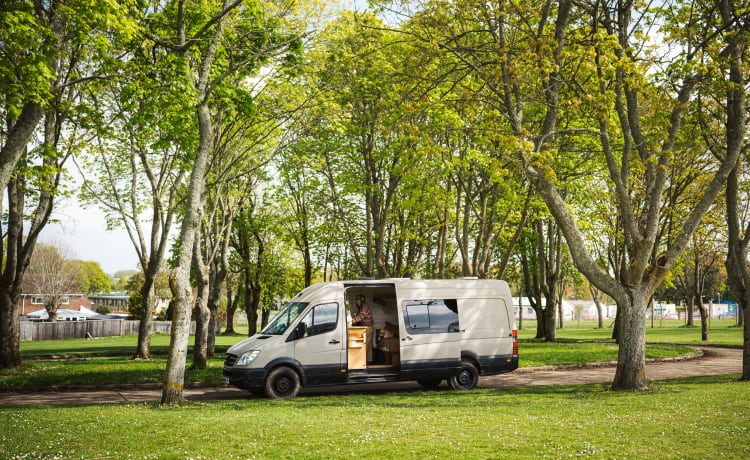 Olive – Mercedes-Benz bestelwagen met 2 slaapplaatsen uit 2008