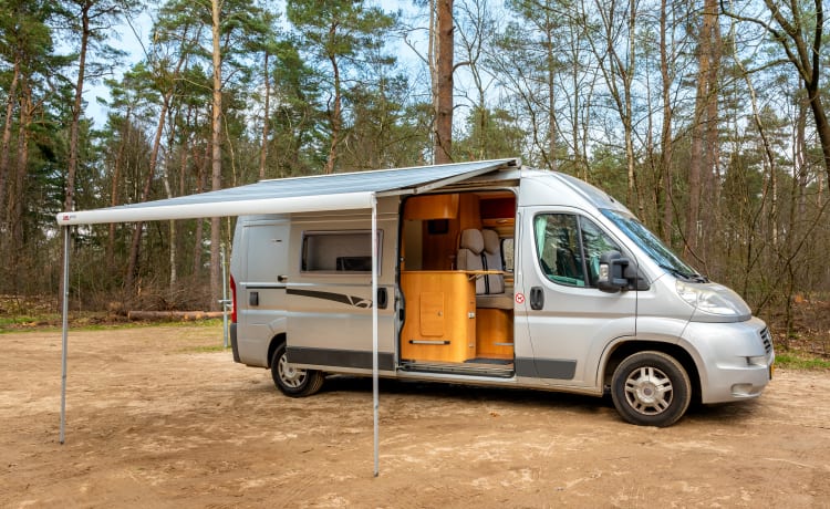 Camper bus 2 posti con letto fisso e servizi igienici