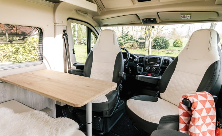 Jackie's hut – Bellissimo Peugot Camperbus, 150 CV