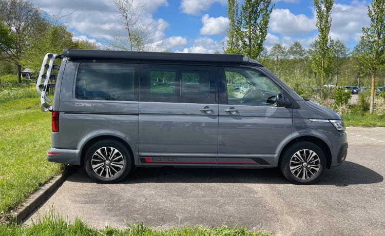 Nieuwe VW California. Prachtige compacte bus.