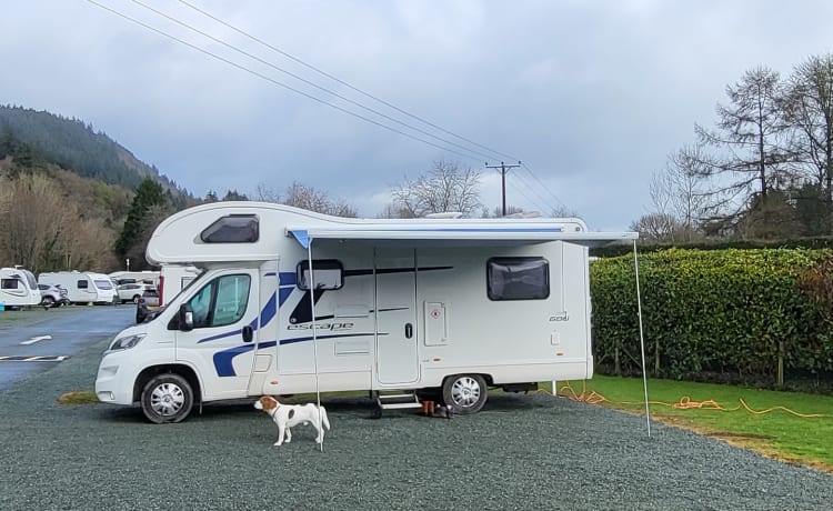 BETTY  – 6 berth Swift alcove from 2015