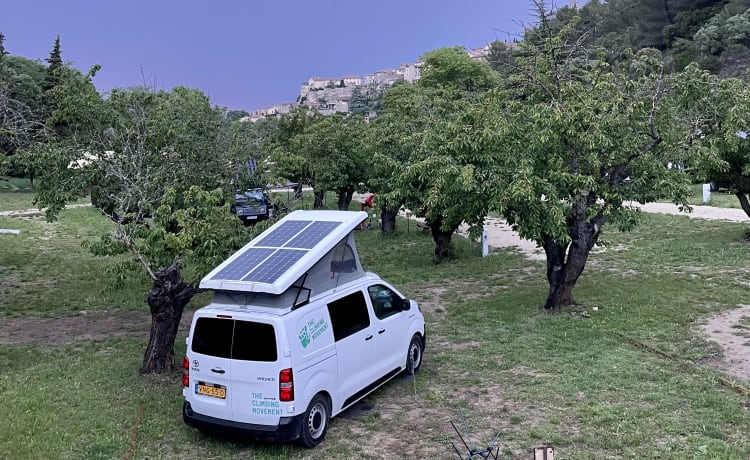 Budgee 🌱⚡️ – 100% electric campervan with off-grid solar+induction ☀️ 