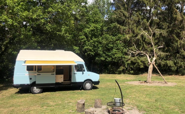 Retro daf – Retro camper bus DAF