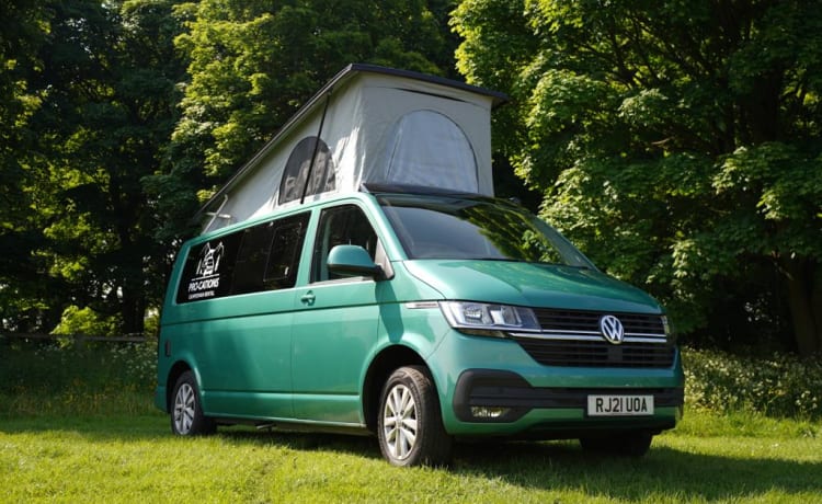 procations – 4 berth Volkswagen bus from 2021