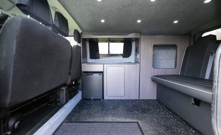 Jack  – 2-persoons Ford campervan uit 2014