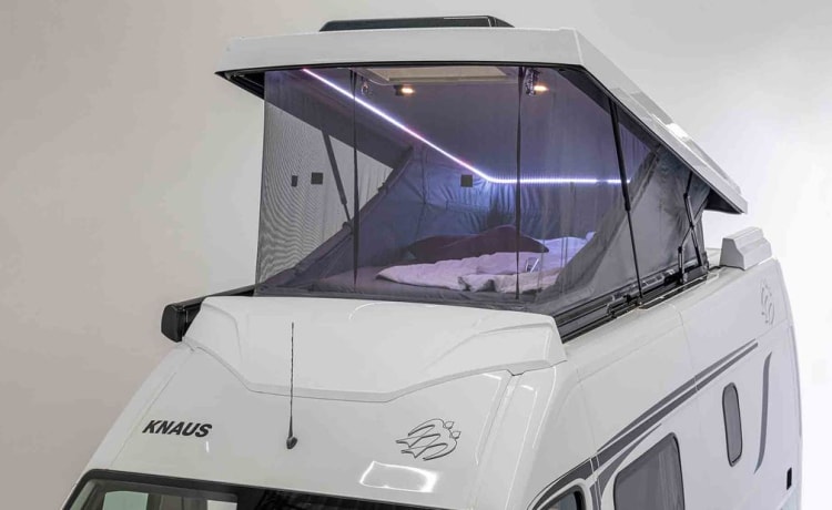 Globus – Well-equipped, cozy bus camper with a unique view