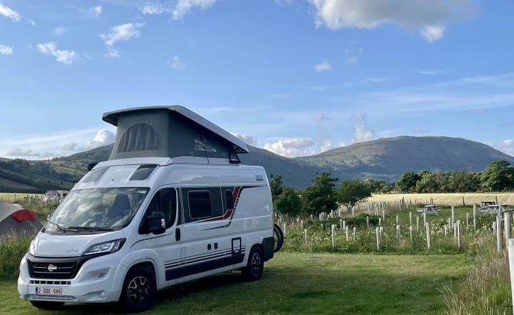 Campervan Bürstner Campeo 600