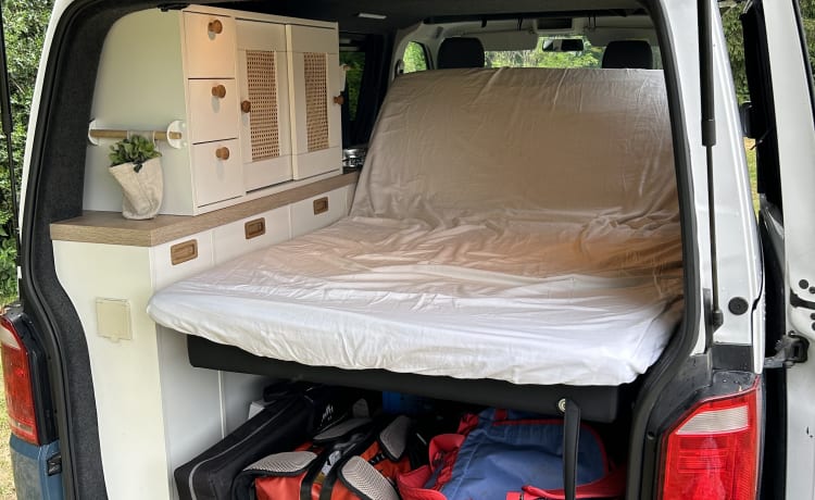 Vanny Blue – Luxurious & attractive VW camper Woodpecker - 4p