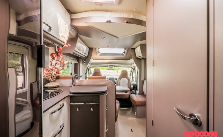 Mobil home neuf pour 4 personnes