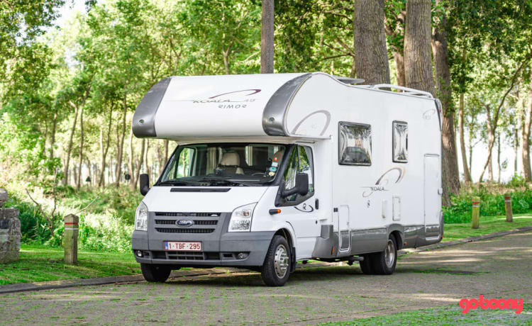 "De Koala" – Camping-car spacieux à l'épreuve des enfants pour toute la famille (y compris les amis !)