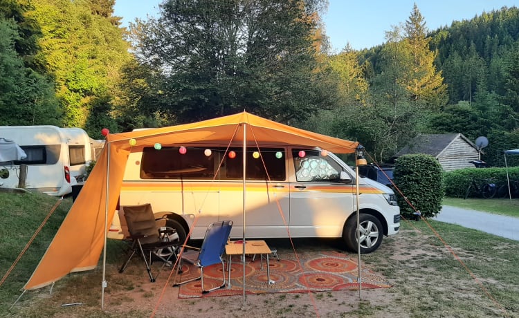 Camper bus Volkswagen 2p del 2017