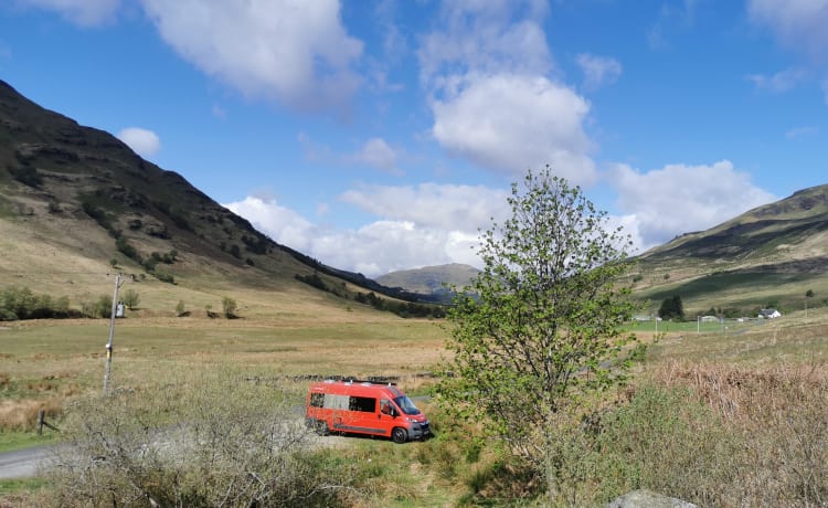 2 berth Citroën "contour" campervan 