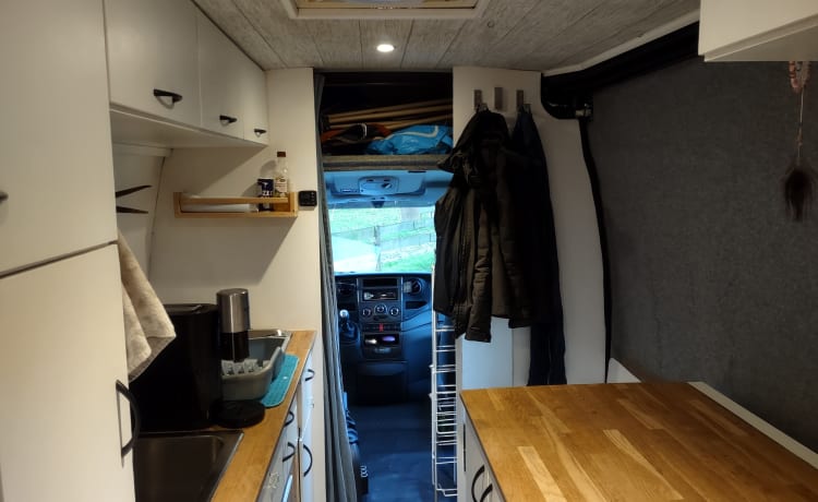 Ivy – Iveco Daily uit 2013 voor 2 personen