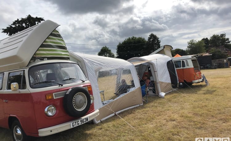 Roses – Vintage Devon 4 Schlafplätze Volkswagen Camper 1981 - Entspannender Camping-Klassiker