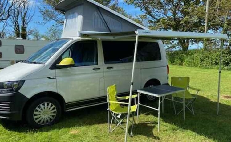 HONEYBEE – VW T6 ADAPTÉ AUX ANIMAUX AVEC INTÉRIEUR JAUNE