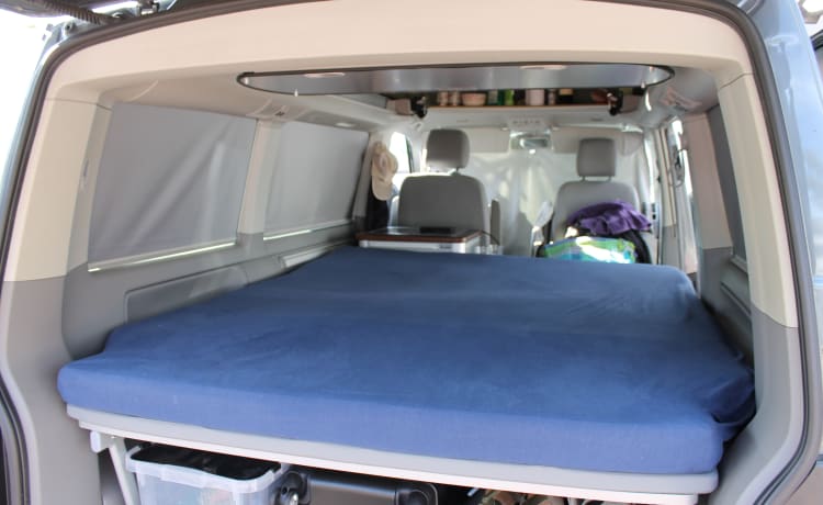 Wonderfully luxurious VW T5 California Beach Automatic