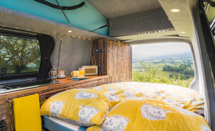 Ringo – VW Transporter - Opklapbare camper