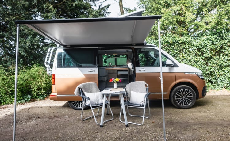 Dutch Nomad Van  – NUOVO! VW California Ocean 6.1 completa e lussuosamente equipaggiata.