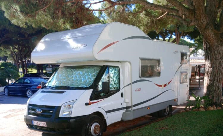 Very spacious family motorhome, 6 seats with belts