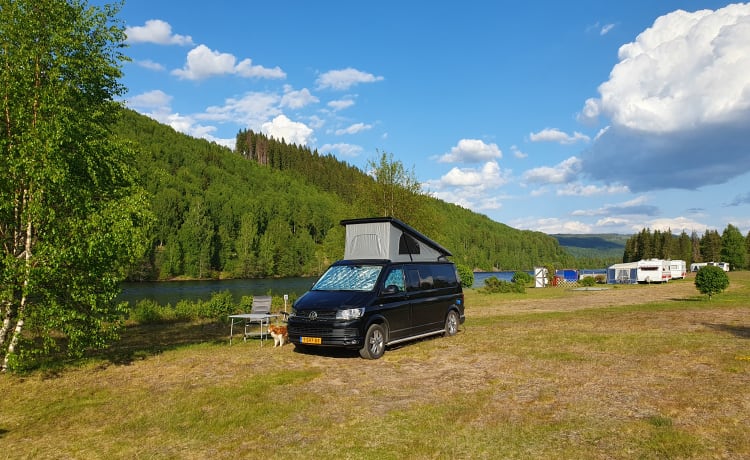 Black pearl – Volkswagen Transporter Camper automatic 