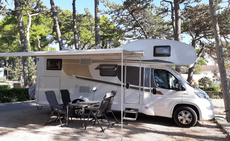 maxi 278 – Overcab family motorhome