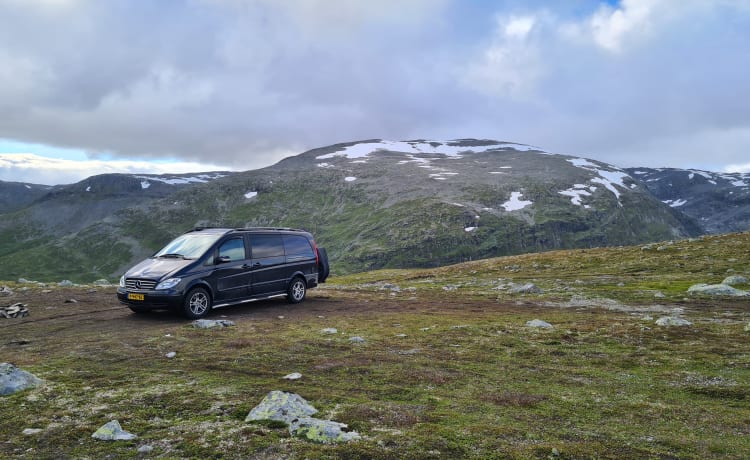 Selbstgebauter Mercedes Viano für 2 Personen