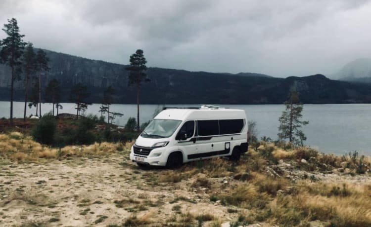 Sperimenta la libertà di un autobus camper compatto