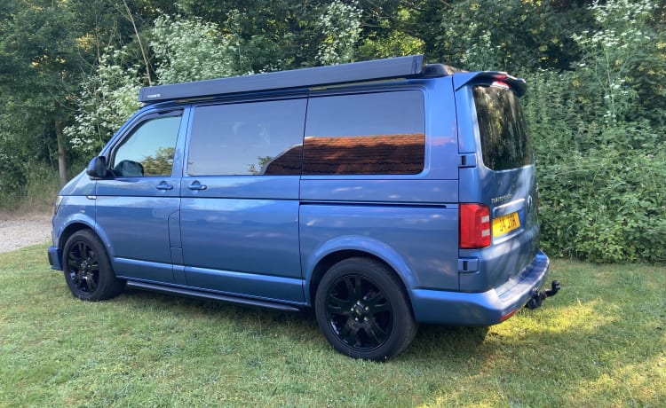 Buzz the Adventure Wagon - VW T6-camper met 4 slaapplaatsen