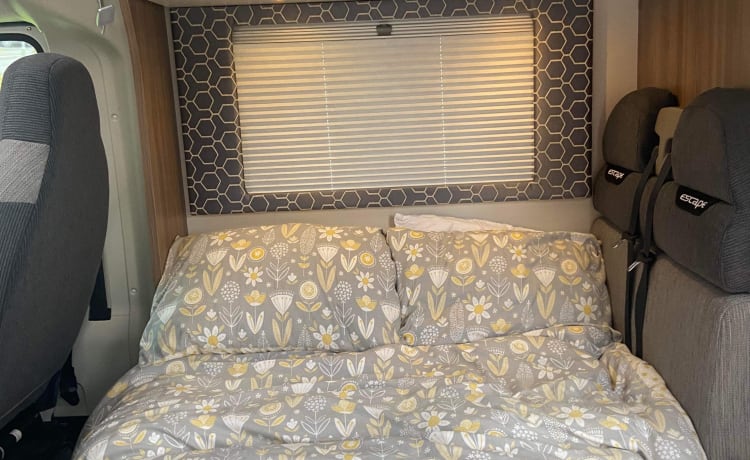 Luxurious 4 berth Motorhome 