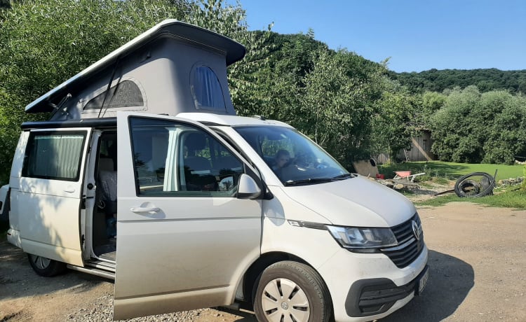 2 tot 6 personen Volkswagen Style VAN