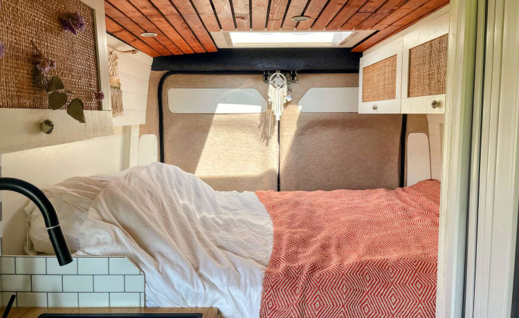 Groot – 🚐 Completely off-grid and equipped with all the luxury! 🏕️