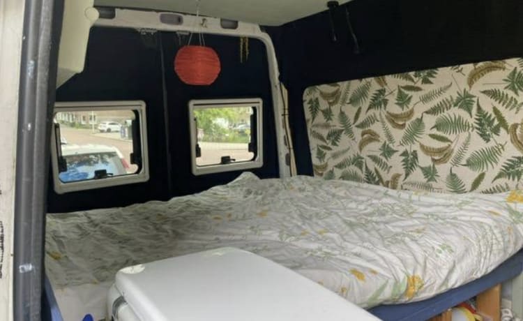 Cozy camper van with fixed bed