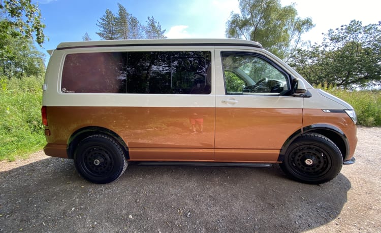 Camper per famiglie VW T6.1 vicino ai confini di Somerset, Devon e Dorset