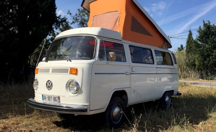 Perlimpinpin – Kombi Van T2